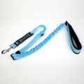 Nylon Pet Dog Correa con gancho